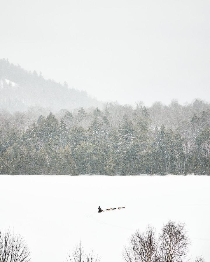 Bluebird Lake Placid Dış mekan fotoğraf